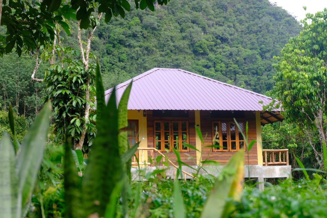 Monkey Mansion - Jungalows & Tours Khao Sok National Park Екстер'єр фото