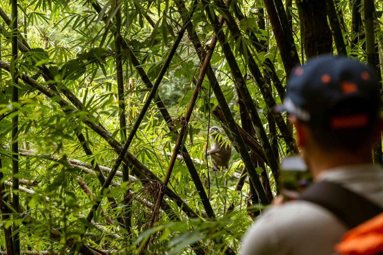 Monkey Mansion - Jungalows & Tours Khao Sok National Park Екстер'єр фото
