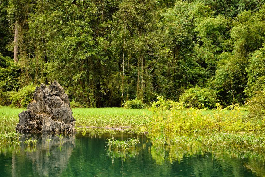 Monkey Mansion - Jungalows & Tours Khao Sok National Park Екстер'єр фото